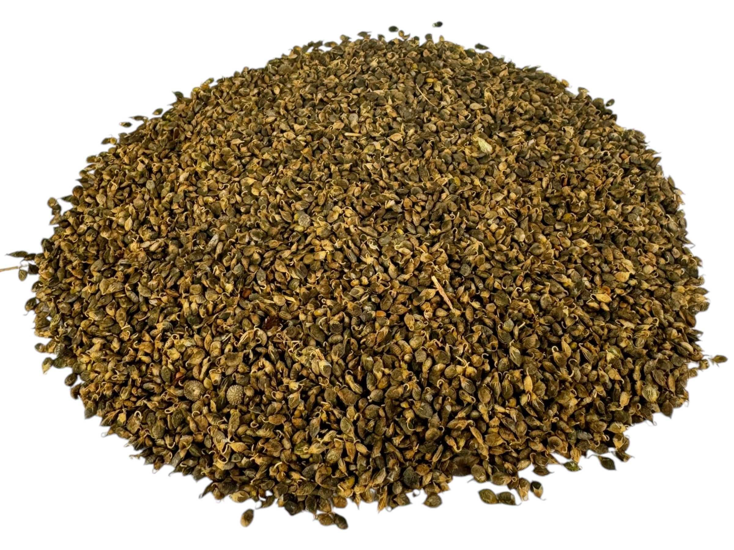 Nostrzyk biały ładny niebukowany 1kg