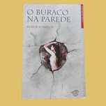O Buraco na Parede de Rubem Fonseca