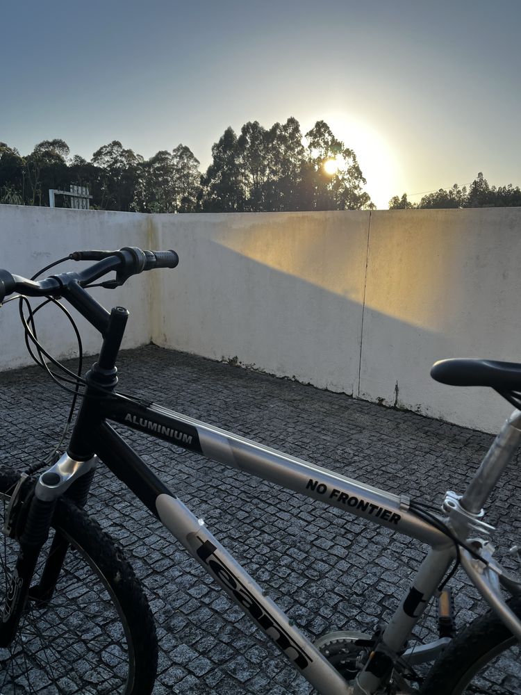 bicicleta-(team)