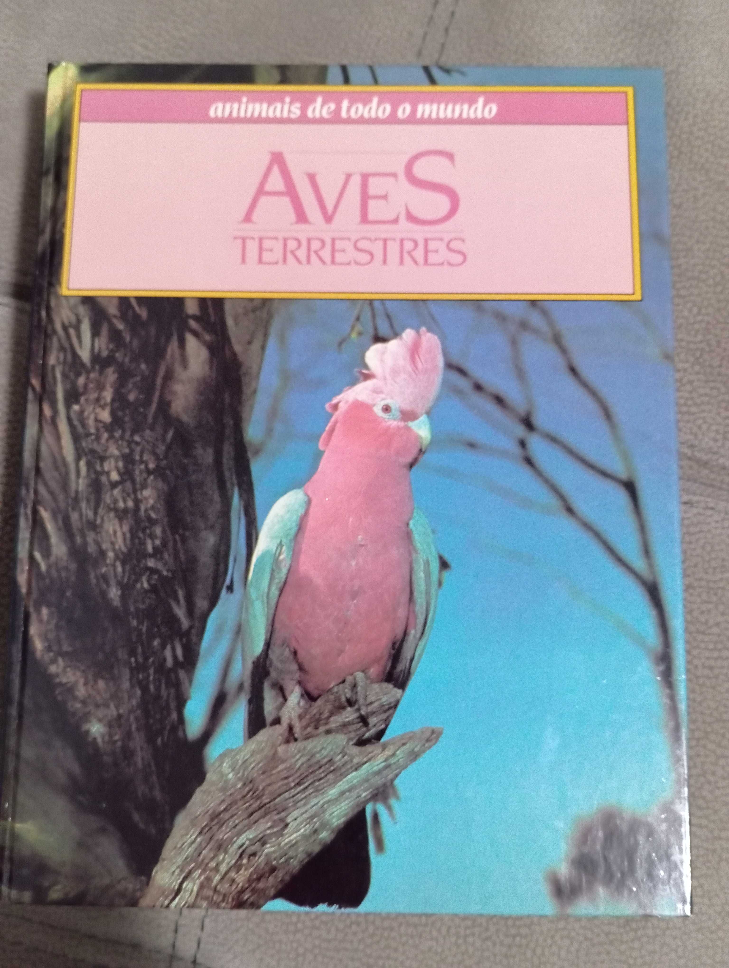 Enciclopédia de 12 livros sobre animais de todo o mundo