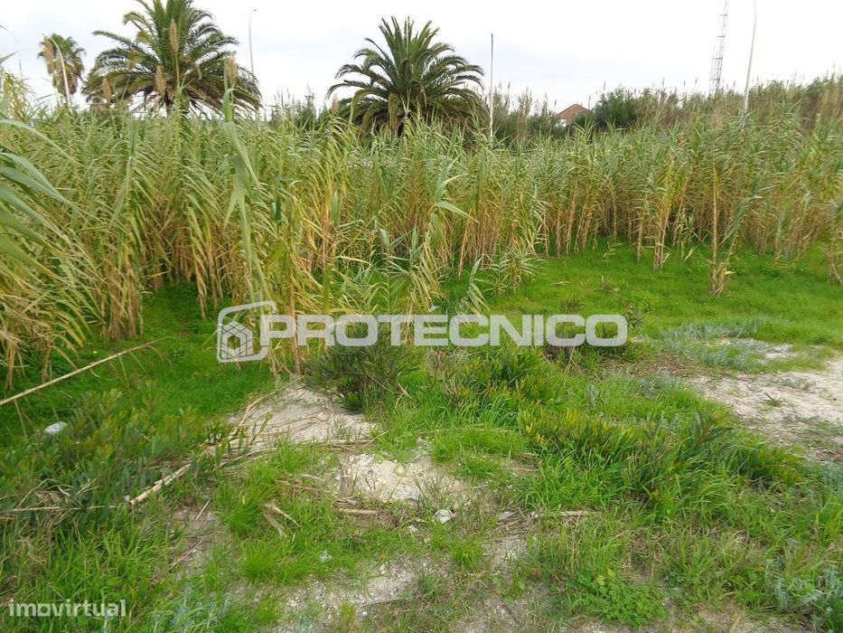 Lote de Terreno - Construção em Altura