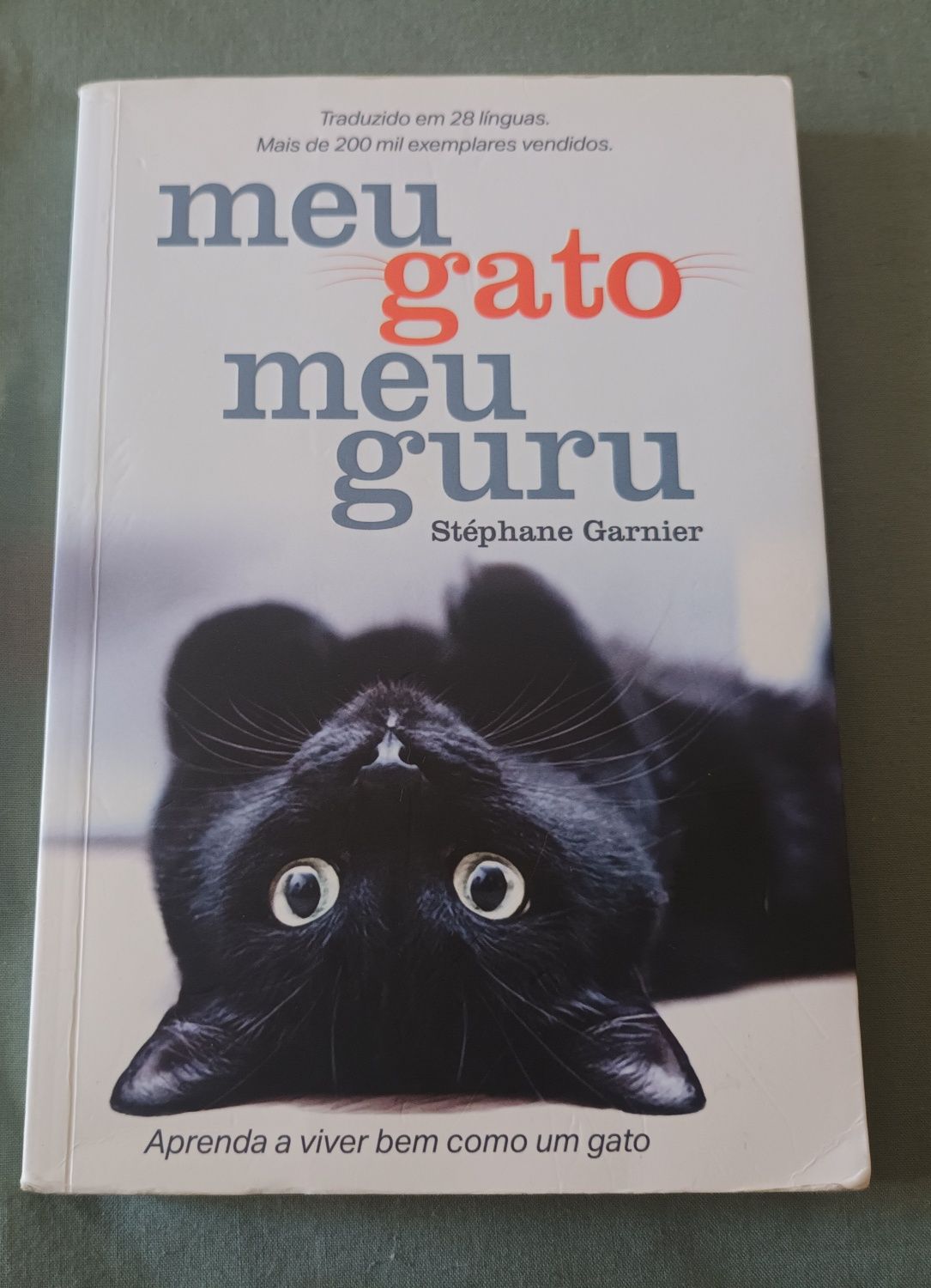 "Meu gato meu guru" de Stéphane Garnier