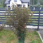 Sprzedam  nowoczesny dom 165 m2