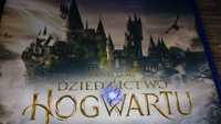Hogwarts Legacy ps4 playstation 4 Dziedzictwo Hogwartu Harry Potter