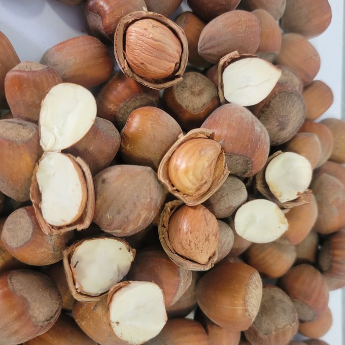 Orzechy laskowe 10kg SUPER JAKOŚĆ