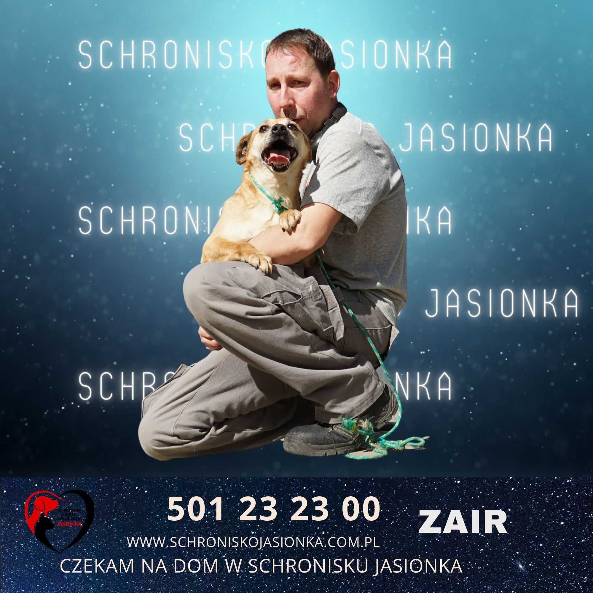 Zair do adopcji schronisko Jasionka