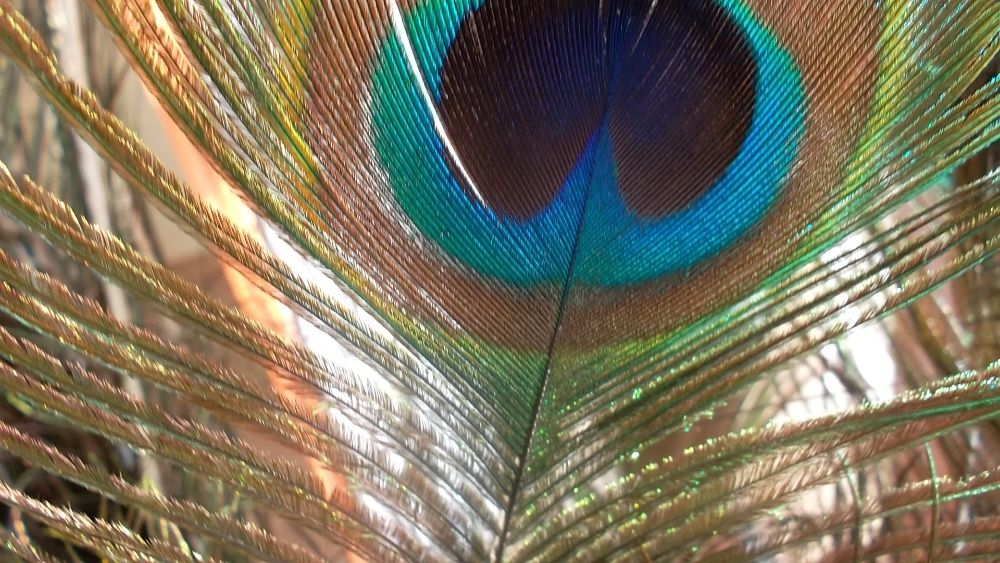 Dekoracje ,kompozycje,ozdoby