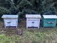 ul ule domki dla pszczół warszawskie zwykłe