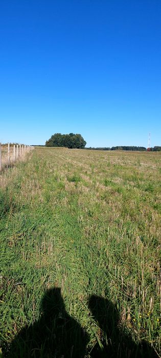 Sprzedam działkę z warunkami zabudowy  0,5ha