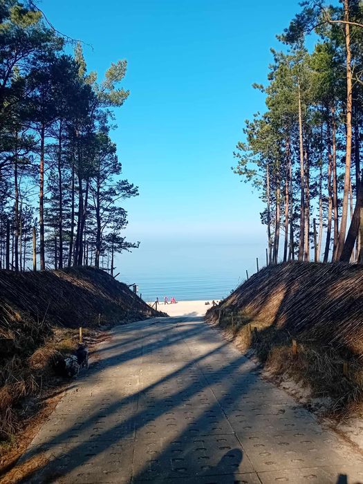 Sztutowo-apartament  35m z balkonem parkingiem 1,5 km od plaży