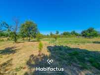 Terreno Rústico de 5.200m² em Vila Chá, Seia – Privacidade, Natureza e
