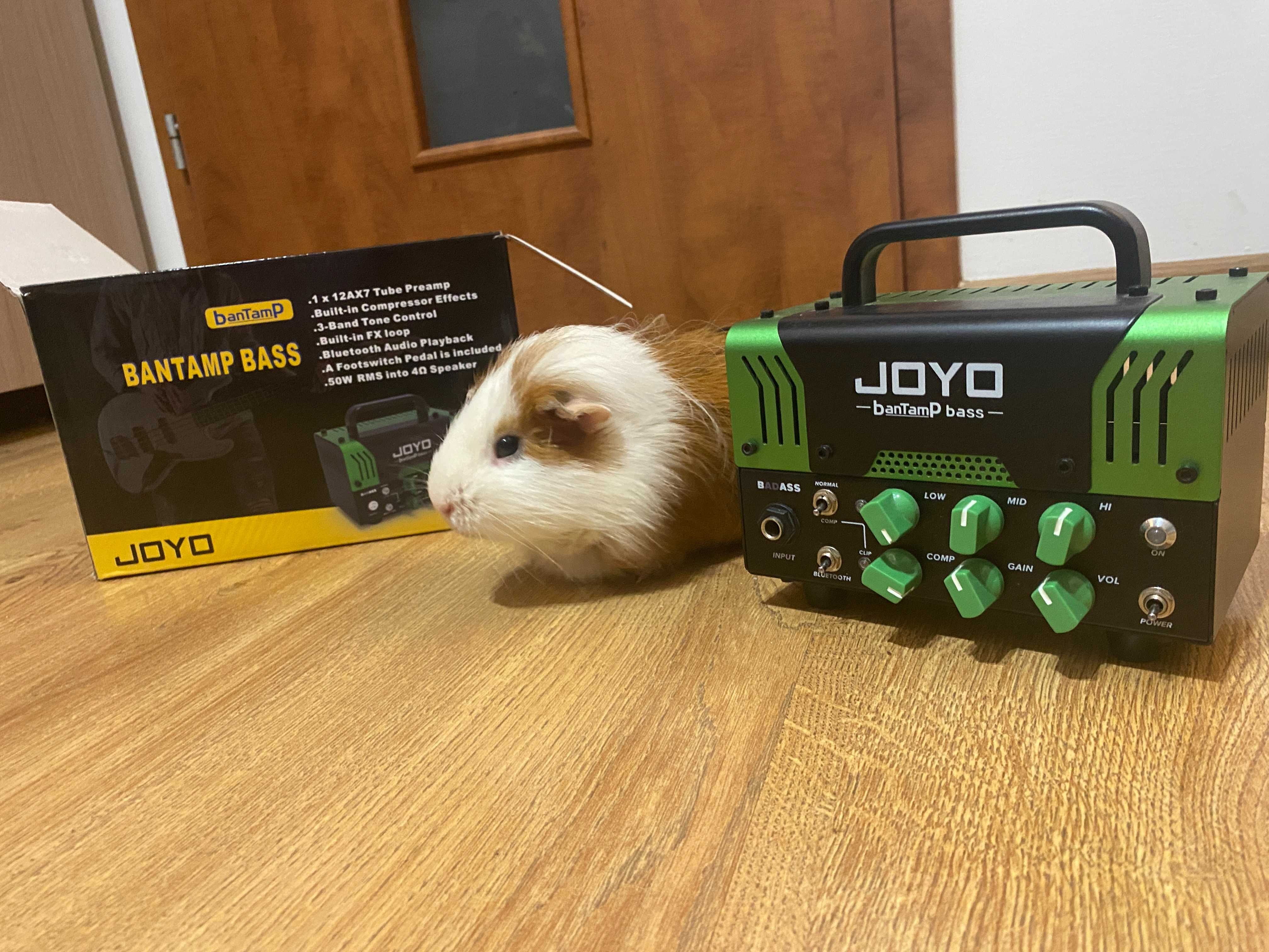 Joyo Bantamp BadAss - wzmacniacz lampowy do basu, head lunchbox