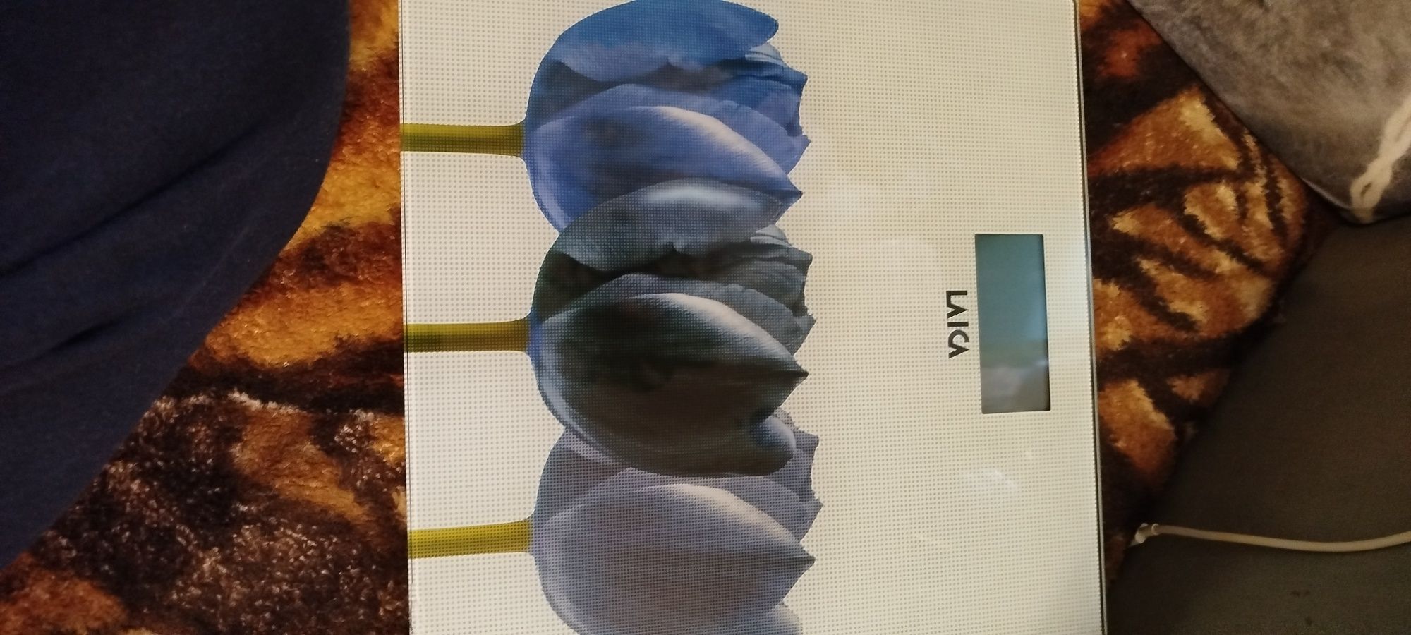 Waga łazienkowa Laica