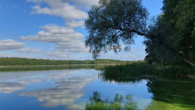 Działki rekreacyjne nad jeziorem z dostępem do plaży