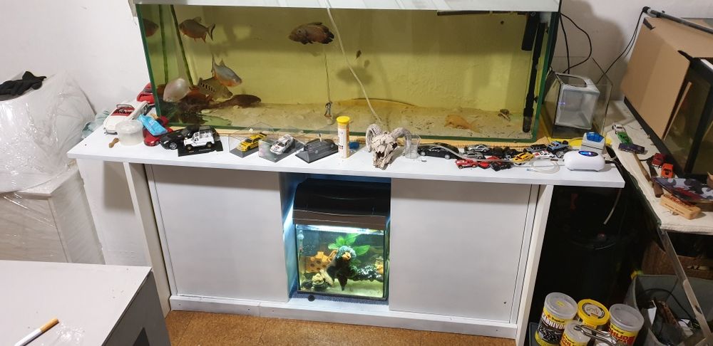Aquario 1.30m + móvel + iluminação.  Ler descrição.