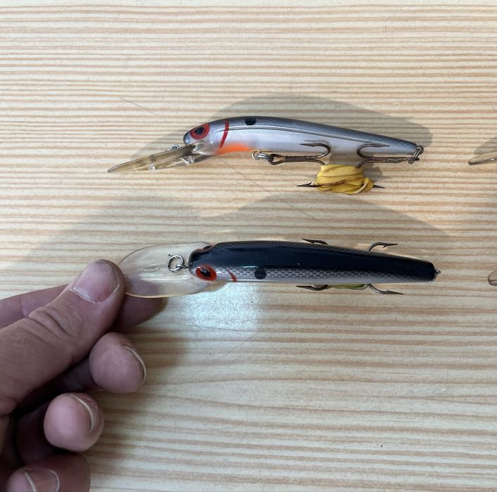 Amostras de corrico ou trolling Daves