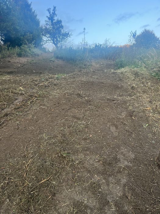 Mulczowanie usuwanie zakrzaczen samosiejek wycinka drzew czyszczenie