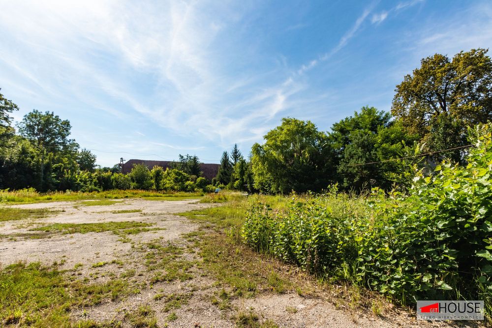 Baza dla Twojej firmy - Tomaszów Bolesławiecki.