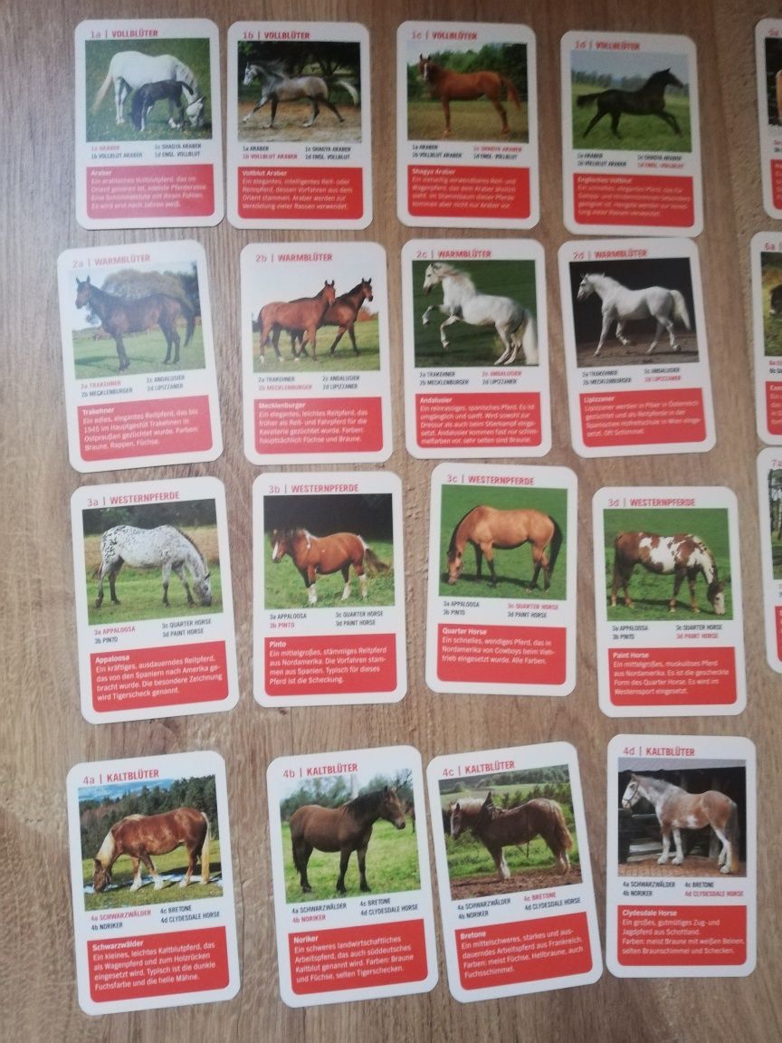 Karty do gry Quartett kwartet niemieckie gra konie kucyki kuce pony