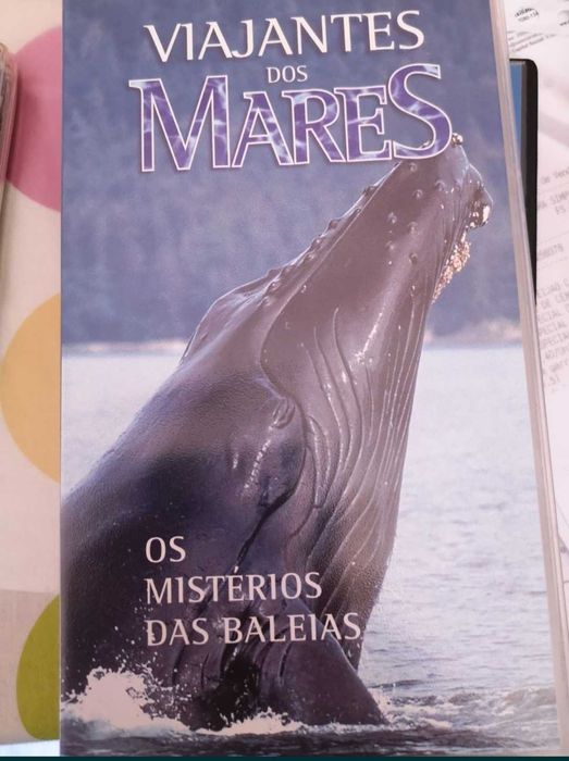 Cassetes VHS vida selvagem