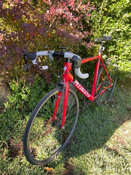 Specialized Langster seminova