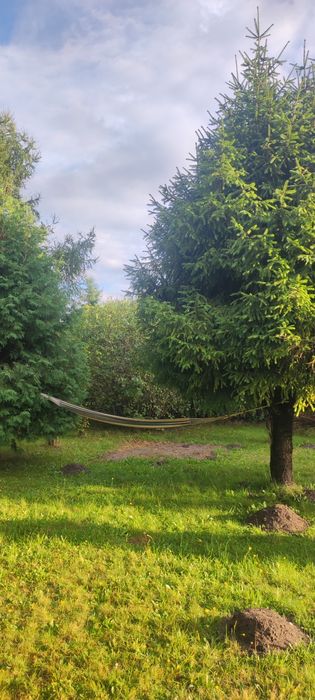 Działka ROD Społemowiec Częstochowa Dźbów