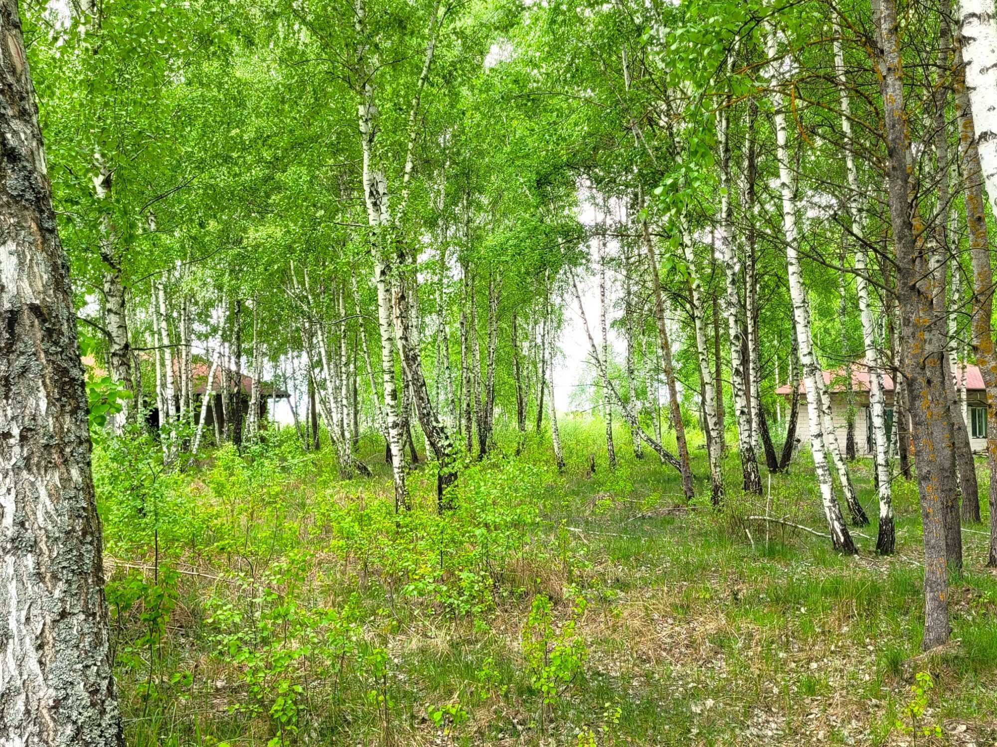 Ділянки 12,73 га з озером та лісом с. Гавронщина, 40 хв від Києва!