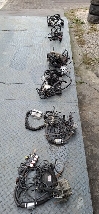 Gaz sekwencja stag Go Fast QBox hurt detal