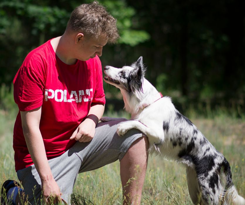 Petsitter Warszawa Domowe Hotelowanie Psa