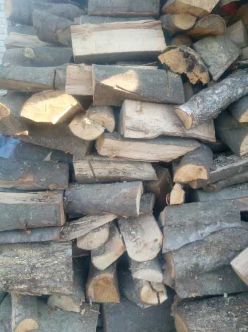 Drewno opalowe sezonowane