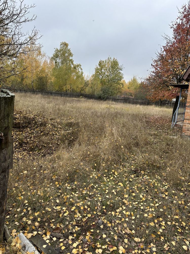 Будинок і ділянка 12 соток