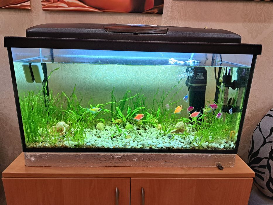 Аквариум с рыбками