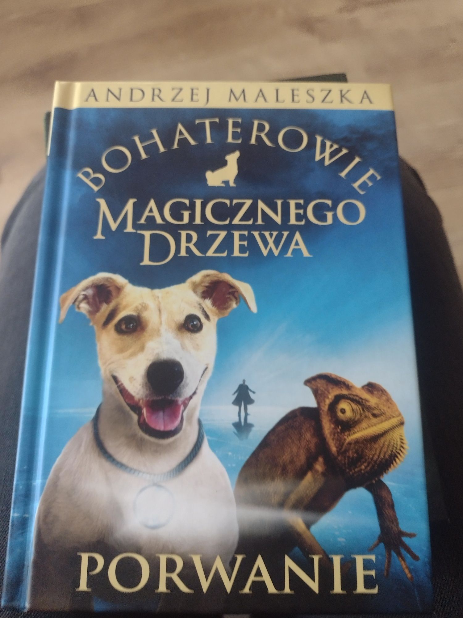 Książka Magiczne drzewo- Porwanie.