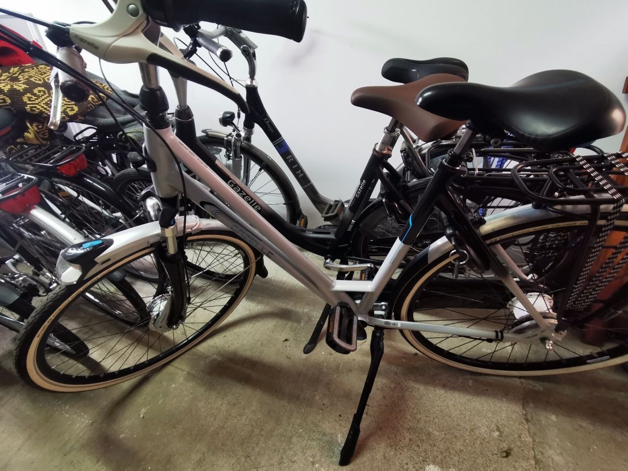 Gazelle Giant Batavus Koga Sparta