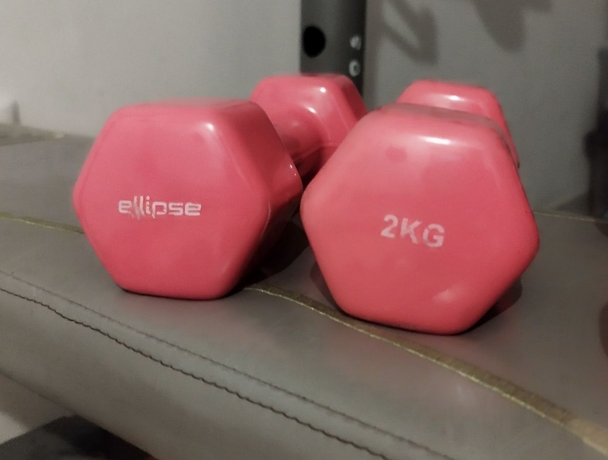 Alteres 2kg e 4kg