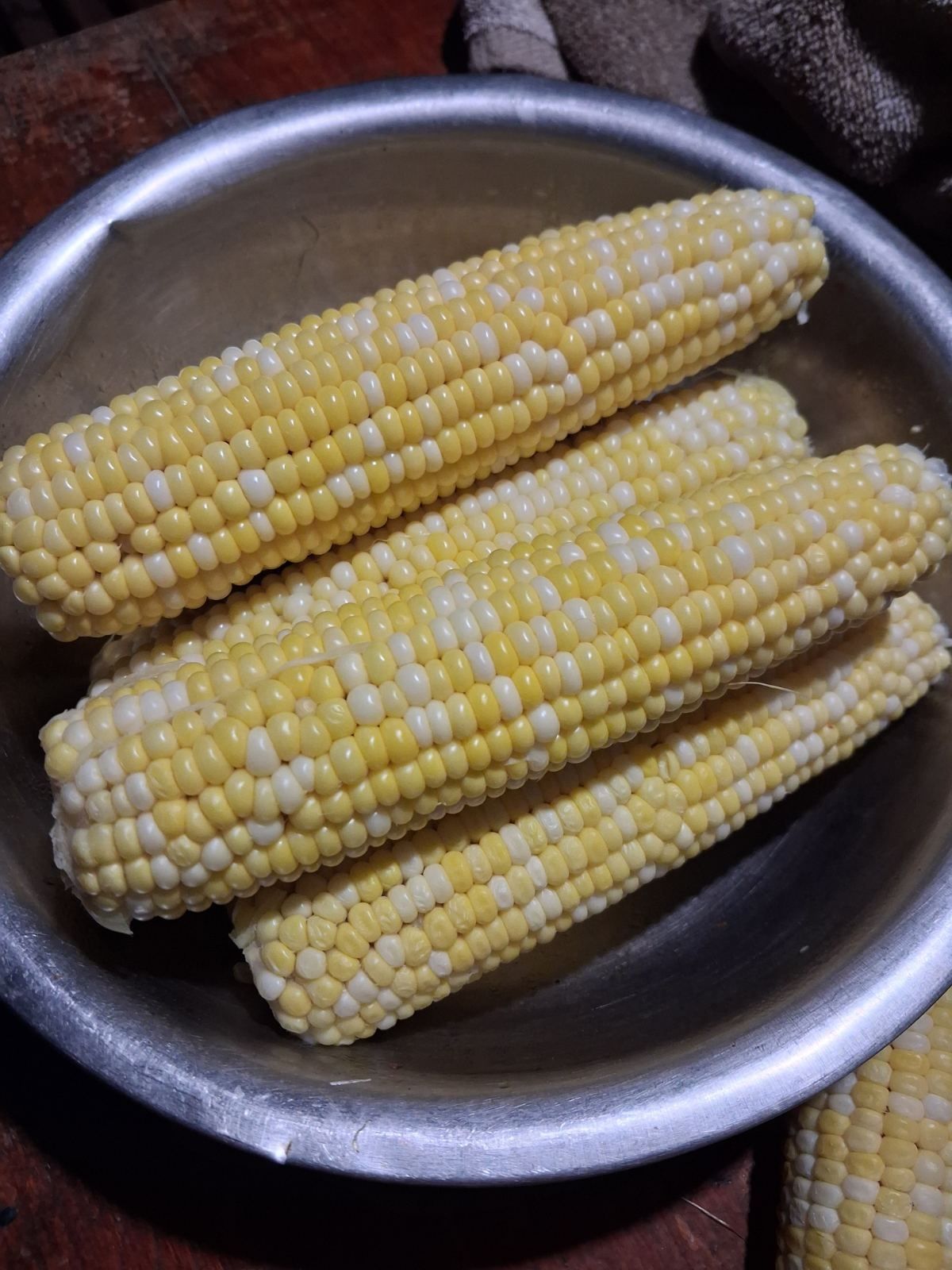 Кукуруза Ракель продам