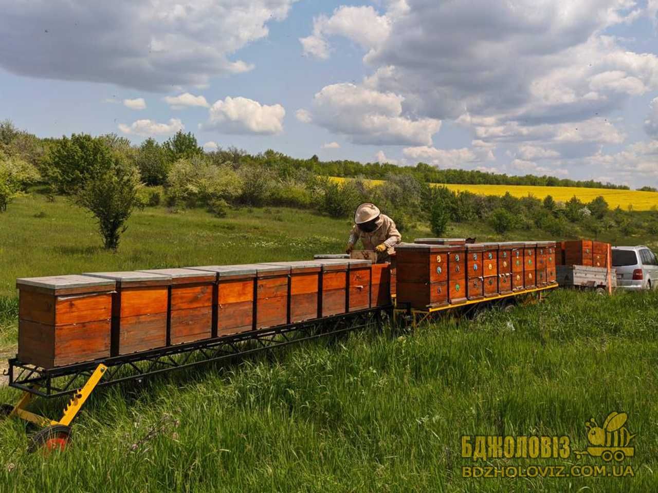 Причеп для пасіки ПР-3Р "БДЖОЛОВІЗ" 6м*1,9м, прицеп, платформа