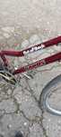 Rower kands damka