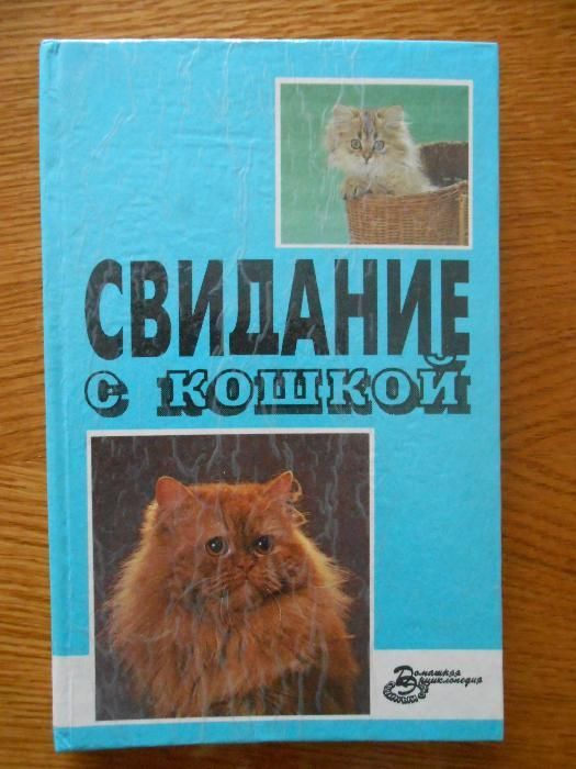 Свидание с кошкой книга о кошках всё о кошках