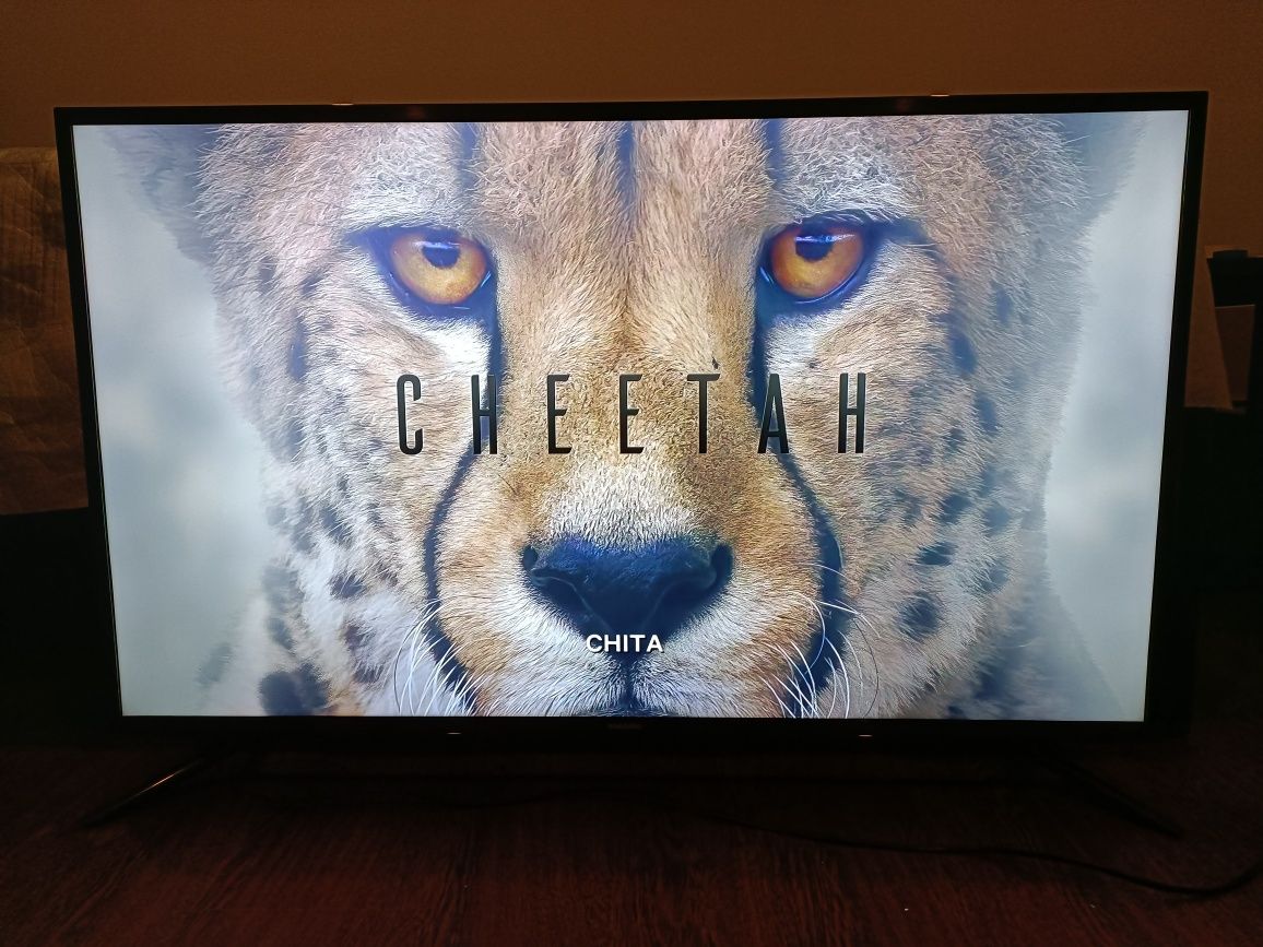 Faço substituição de LED's em TVs 4k 43"-55"