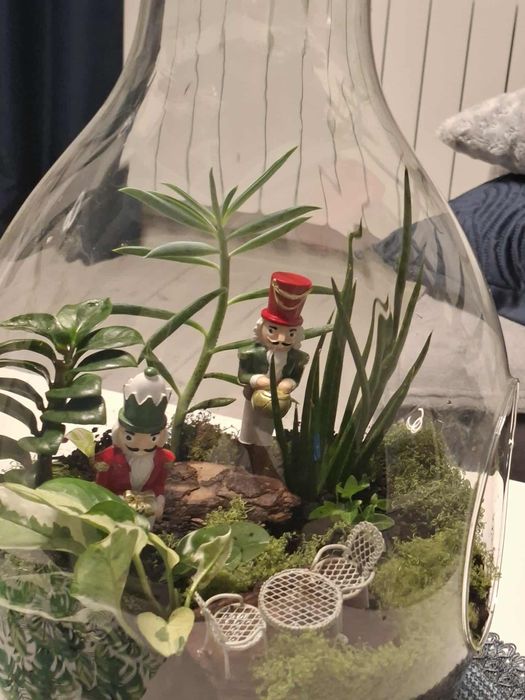 świąteczny las w słoiku