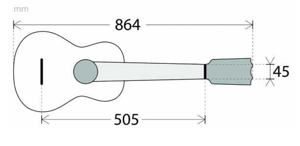 Viola Braguesa - APC 250 Carvalho + Livro