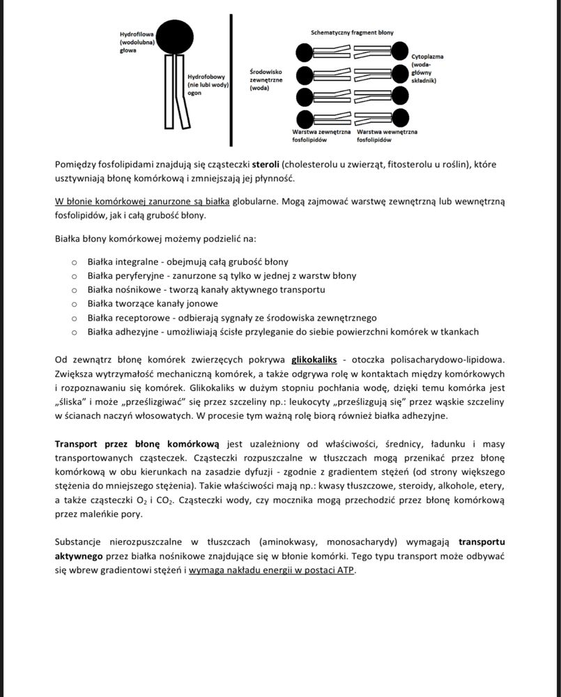 Notatki z CHEMII i BIOLOGII rozszerzonej do matury 2026/2027