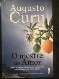 Augusto Cury - O mestre do amor