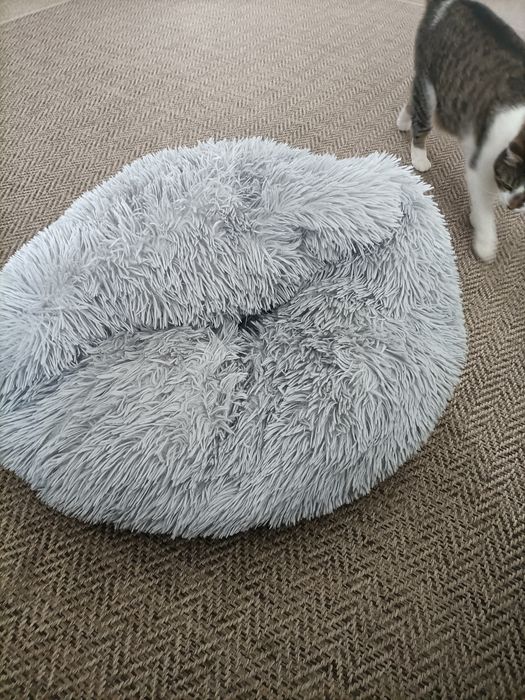 2xLegowisko dla psa lub kota