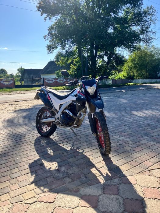 Продам лося 250 стан непоганий