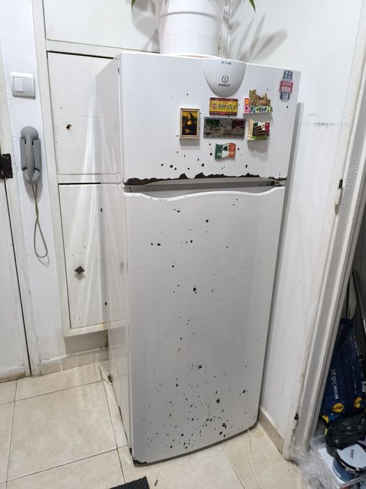 Frigorífico 140x55x53