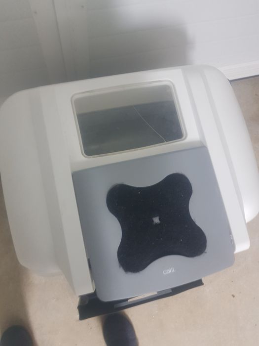 Caixa areia para gatos