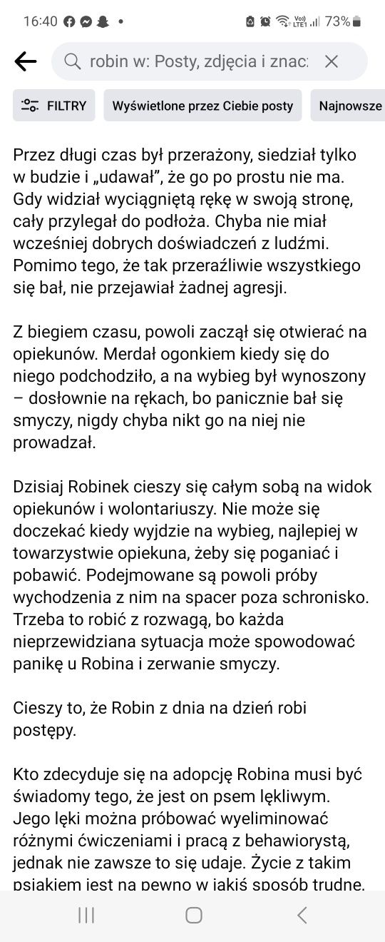 Robin Leszno schronisko Henrykowo