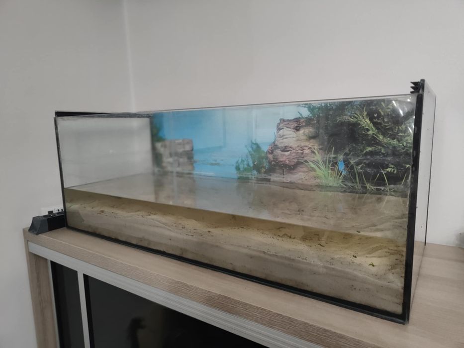 Pilne! Akwarium terrarium 140 litrów